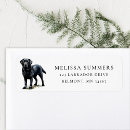 Search for black labrador return address labels Watercolor