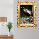 Search for pheasant posters Nature
