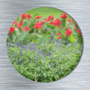 Search for flower magnets Photograph