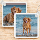 Search for lover key rings Dog photo