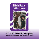 Search for horse lovers magnets Equestrian
