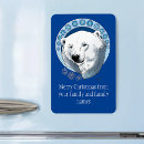 Search for polar bear magnets Arctic
