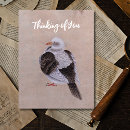 Search for pigeons postcards Dove