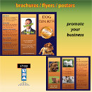 Search for brochures Trifold