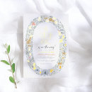 Search for gold safari Boy