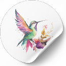 Search for colorful bird stickers Hummingbird