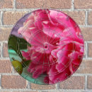 Search for photography dartboards Modern