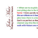 Search for muir mugs Nature