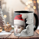 Search for 3d cat mugs Funny