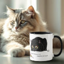 Search for cat butt mugs Humour