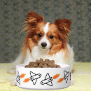 Search for rocket pet supplies Modern