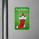 Search for gnome magnets White beard