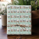 Search for mint wrapping paper Trendy