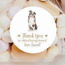 Search for dog labels Australian shepherd