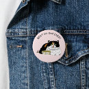 Search for calico cat badges Cats