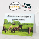 Search for funny cow jokes postcards Cows