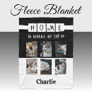 Search for photo with animals blankets Cats