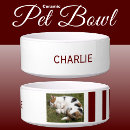 Search for photo pet bowls White