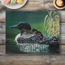 Search for loon puzzles Wildlife