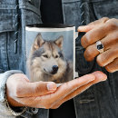 Search for malamute mugs Winter