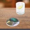 Search for duck coasters Bird