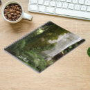 Search for green moss photography Trees
