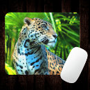 Search for big five electronics Safari