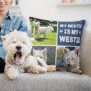 Search for westie cushions Cute