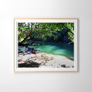 Search for philippines posters Tropical