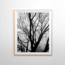 Search for fog photography Foggy