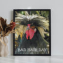 Search for funny chicken posters Poultry