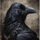Search for raven tissue paper Goth