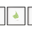Search for for lady posters Green