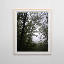 Search for foggy posters Nature