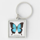 Search for the smithsonian key rings Butterflies