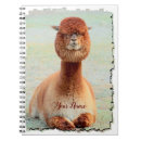 Search for alpaca notebooks Animals