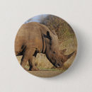 Search for rhino badges Safari