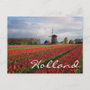 Search for spring bulbs postcards Garden