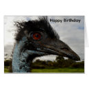 Search for emu birthday cards Bird