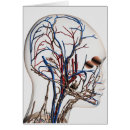 Search for immunology postcards Intricacy