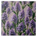 Search for dutch tiles Botanical