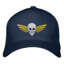 Search for winged skull Aircraft