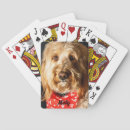 Search for doodle playing cards Poodle