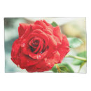 Search for red rose pillowcases Flowers