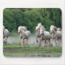Search for jim mousepads Jaynes gallery