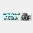 Search for castration Vet