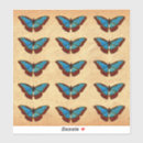 Search for lepidoptera stickers Insect