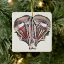 Search for eye doctor christmas tree decorations Eyes