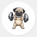 Search for weight lifting stickers Cute