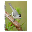 Search for habitat notebooks Larry ditto